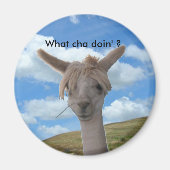 Magnet - Curieux Alpaca (Devant)
