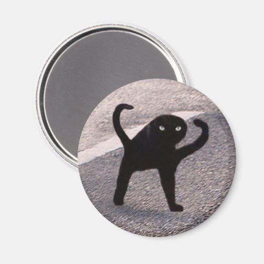 Magnet Cursed Cat Meme (Recto/Verso)