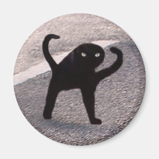 Magnet Cursed Cat Meme (Devant)