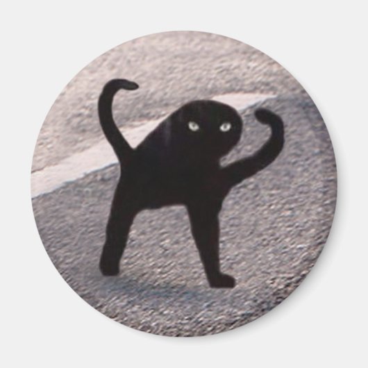 Magnet Cursed Cat Meme Magneet (Voorkant)