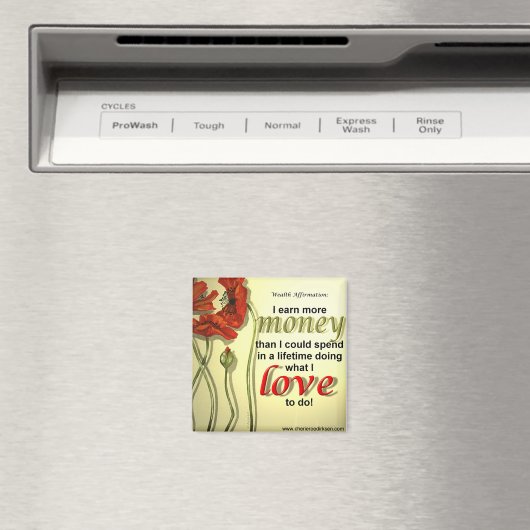 Magnet d'affectation d'argent (In Situ (Lave-vaisselle))