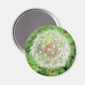 Magnet - Dandelion Seed Ball Magneet (Voorkant / Achterkant)