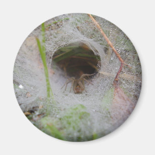 Magnet d'araignée Web du entonnoir européen
