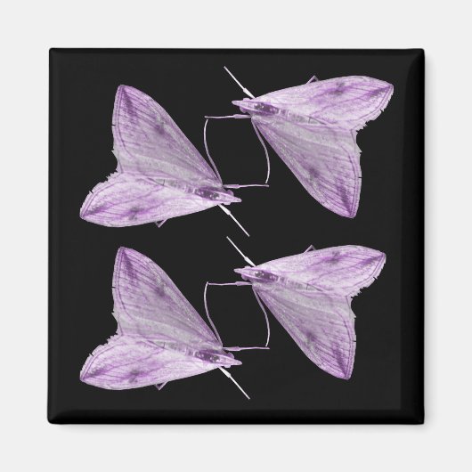 Magnet d'art mauve (Devant)