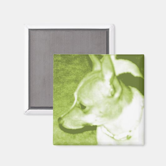 Magnet d'art pop Chihuahua vert (Recto/Verso)