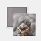 Magnet d'attitude des oiseaux de bébé (Recto/Verso)