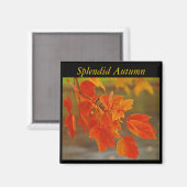 Magnet d'automne splendide (Recto/Verso)