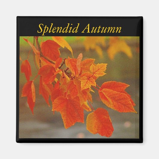 Magnet d'automne splendide (Devant)