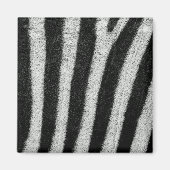 Magnet de bandes Zebra (Devant)