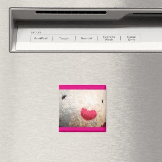 Magnet de béary (In Situ (Lave-vaisselle))