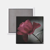 Magnet de beauté de l'amour (Recto/Verso)