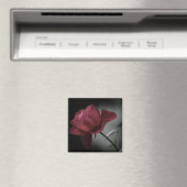 Magnet de beauté de l'amour (In Situ (Lave-vaisselle))