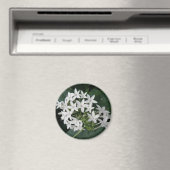 Magnet de belles fleurs tropicales blanches (In Situ (Lave-vaisselle))