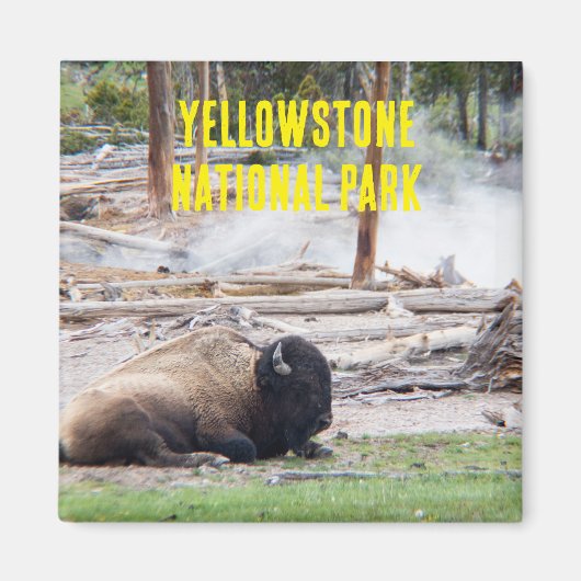 Magnet de bison du parc national Yellowstone (Devant)