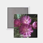 Magnet de Bitterroot à fleurs du Montana (Recto/Verso)