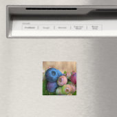 Magnet de bleuets (In Situ (Lave-vaisselle))