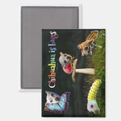 Magnet de bogues (Recto/Verso)