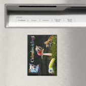 Magnet de bogues (In Situ (Lave-vaisselle))