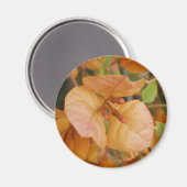 Magnet de bougainvilliers orange (Recto/Verso)