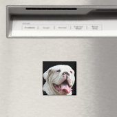 Magnet de Bulldog blanc (In Situ (Lave-vaisselle))