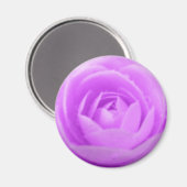 Magnet de Camellia violet (Recto/Verso)