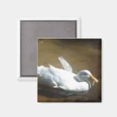 Magnet de canard (Recto/Verso)