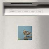 Magnet de canard (In Situ (Lave-vaisselle))