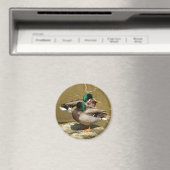 Magnet de canard (In Situ (Lave-vaisselle))