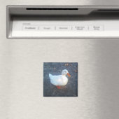 Magnet de canard (In Situ (Lave-vaisselle))