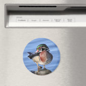 Magnet de canard en bois (In Situ (Lave-vaisselle))