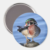 Magnet de canard en bois (Recto/Verso)