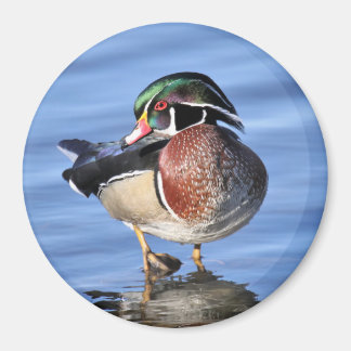 Magnet de canard en bois