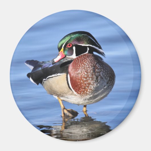 Magnet de canard en bois (Devant)