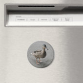 Magnet de canard en patte drôle (In Situ (Lave-vaisselle))