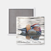 Magnet de canard mandarin (Recto/Verso)