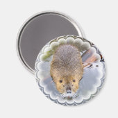 Magnet de castor (Recto/Verso)
