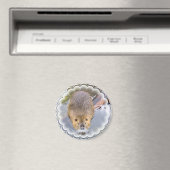 Magnet de castor (In Situ (Lave-vaisselle))