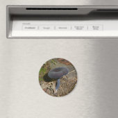 Magnet de champignons à fleurs noires (In Situ (Lave-vaisselle))