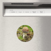 Magnet de champignons Casquettes panthère (In Situ (Lave-vaisselle))