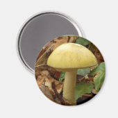 Magnet de champignons de la boue de mort (Recto/Verso)