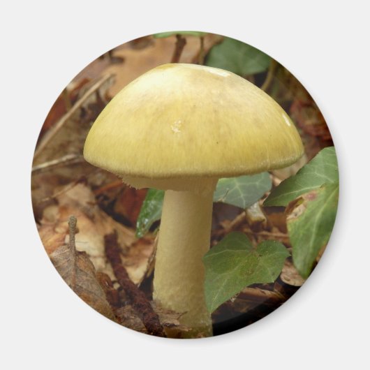 Magnet de champignons de la boue de mort (Devant)
