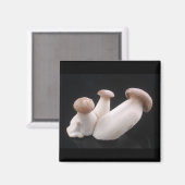Magnet de champignons de trompette royale (Recto/Verso)