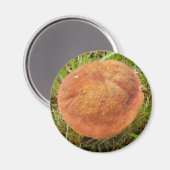 Magnet de champignons Ruby Bolete (Recto/Verso)