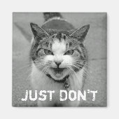 Magnet de chat de crabe (Devant)