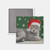 Magnet de chat de Noël (Recto/Verso)