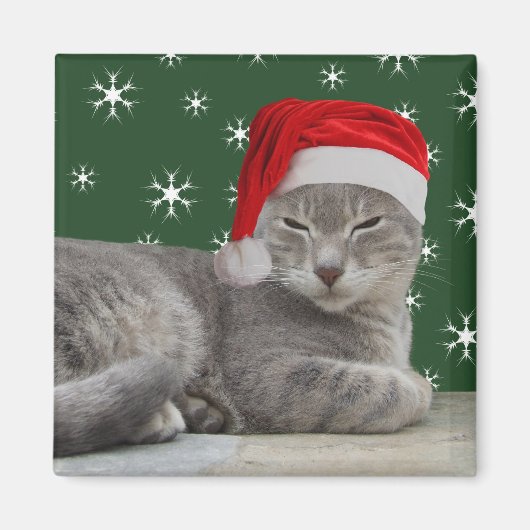 Magnet de chat de Noël (Devant)