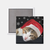Magnet de chat de Noël (Recto/Verso)