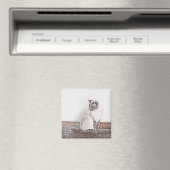 Magnet de chat de Siamese (In Situ (Lave-vaisselle))