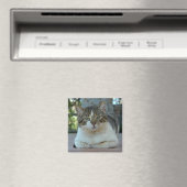 Magnet de chat tabby et blanc (In Situ (Lave-vaisselle))