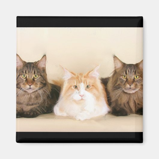 Magnet de chats de Maine (Devant)